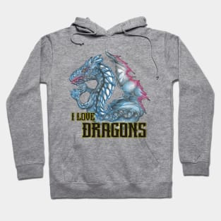 I love dragons Hoodie